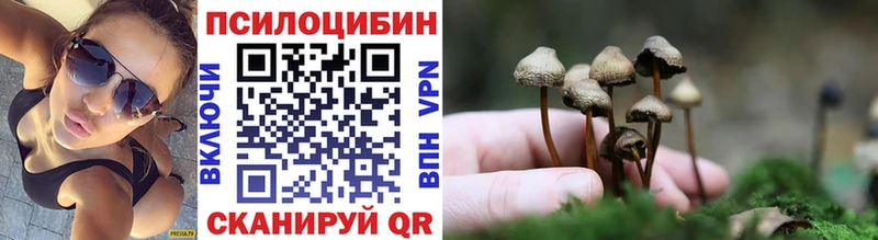 кракен как зайти  наркота  Севск  Галлюциногенные грибы прущие грибы 